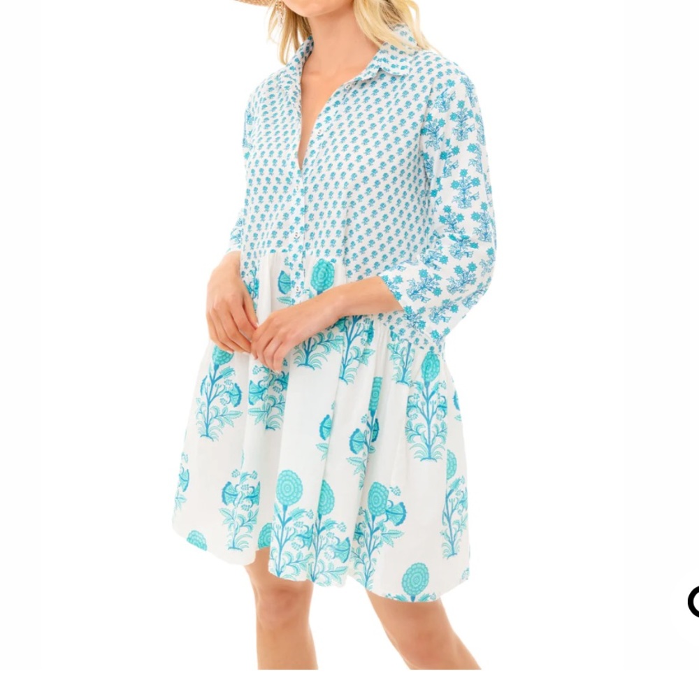 Tuckernuck Blue and White Mini Dress